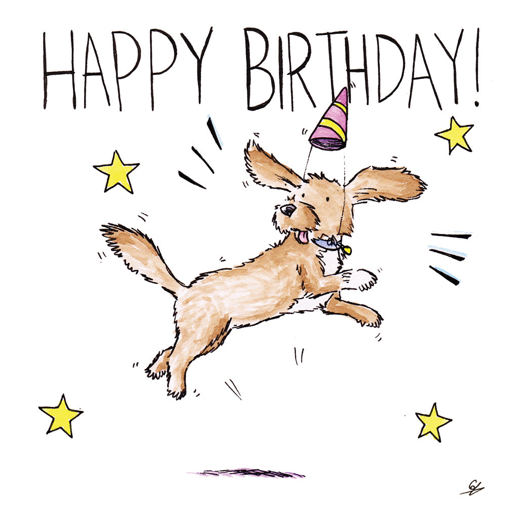 Working Cocker Spaniel Happy Birthday Jump