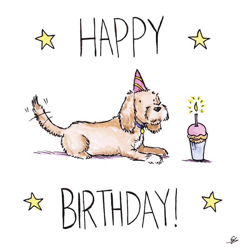 Working Cocker Spaniel Happy Birthday Lay Down
