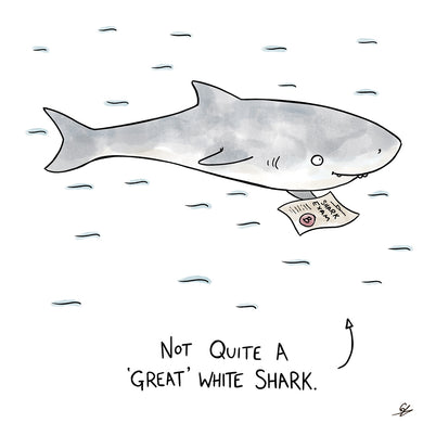 Not So Great White Shark