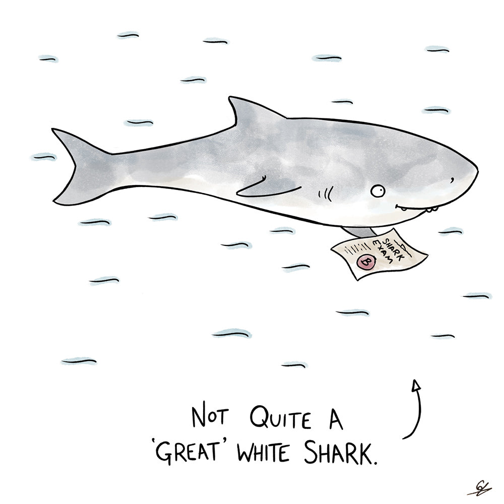 Not So Great White Shark