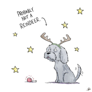 Not a Reindeer