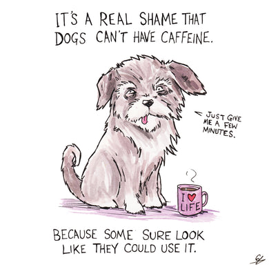 Caffeine Dog