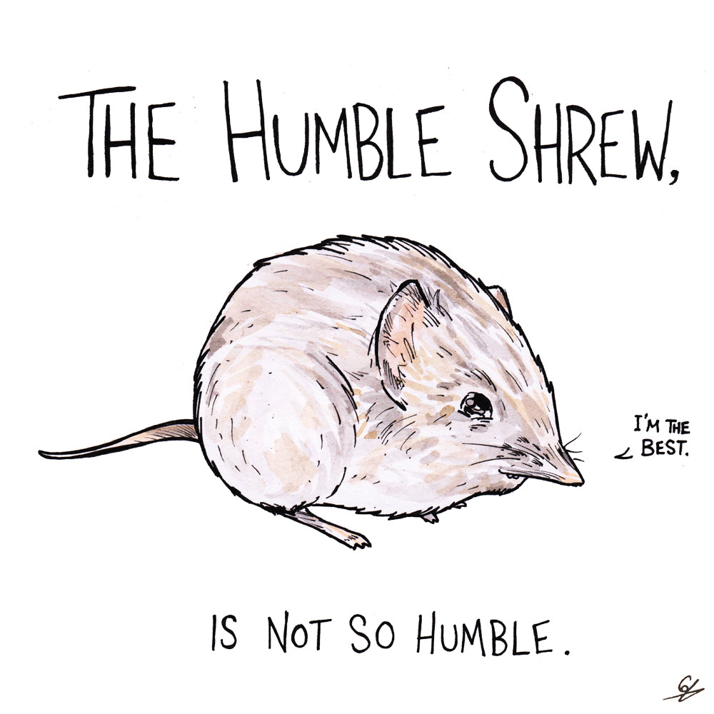 Humble Shrew