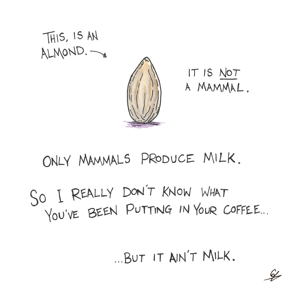 Almonds are not Mammals. So no Almond Milk