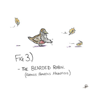 The Bearded Robin
