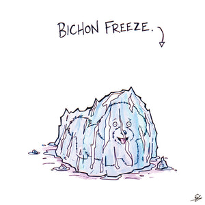 It's a Bichon Freeze. - A Bichon Frise in a block of ice.