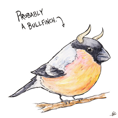 Bullfinch with horns. Probably a Bullfinch