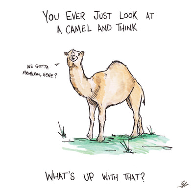 You ever just look at a Camel and think what up with that?