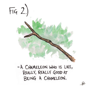 Fig 2.) -A Chameleon who is like, really, really good at being a Chameleon.