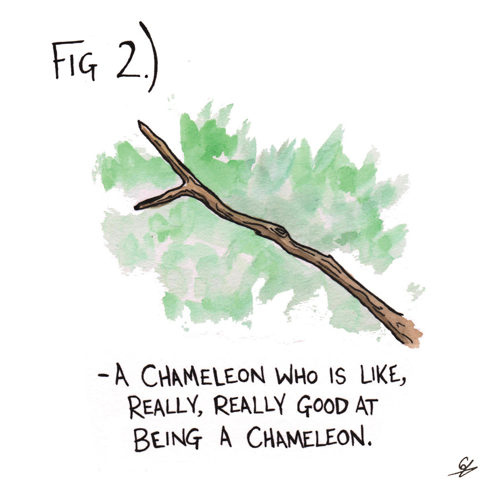 Fig 2.) -A Chameleon who is like, really, really good at being a Chameleon.