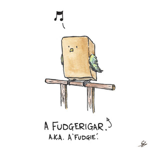 A Fudgerigar. A.K.A. A 'Fudgie'.