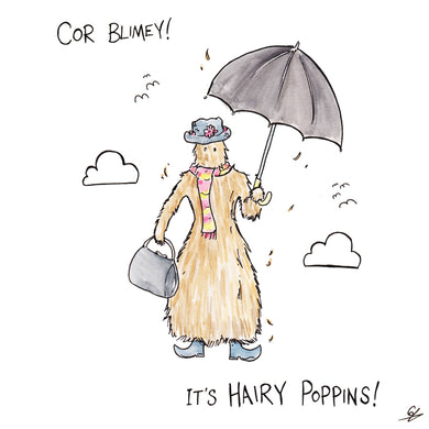 Cor Blimey! It's Hairy Poppins!