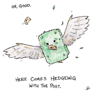 It's a flying hedge with the post. It's Hedgewig