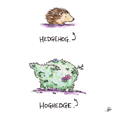 Hedgehog - Hoghedge