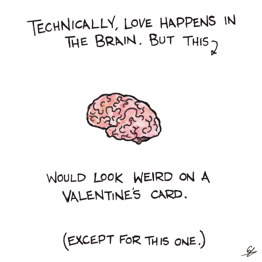 Love happens in the brain.