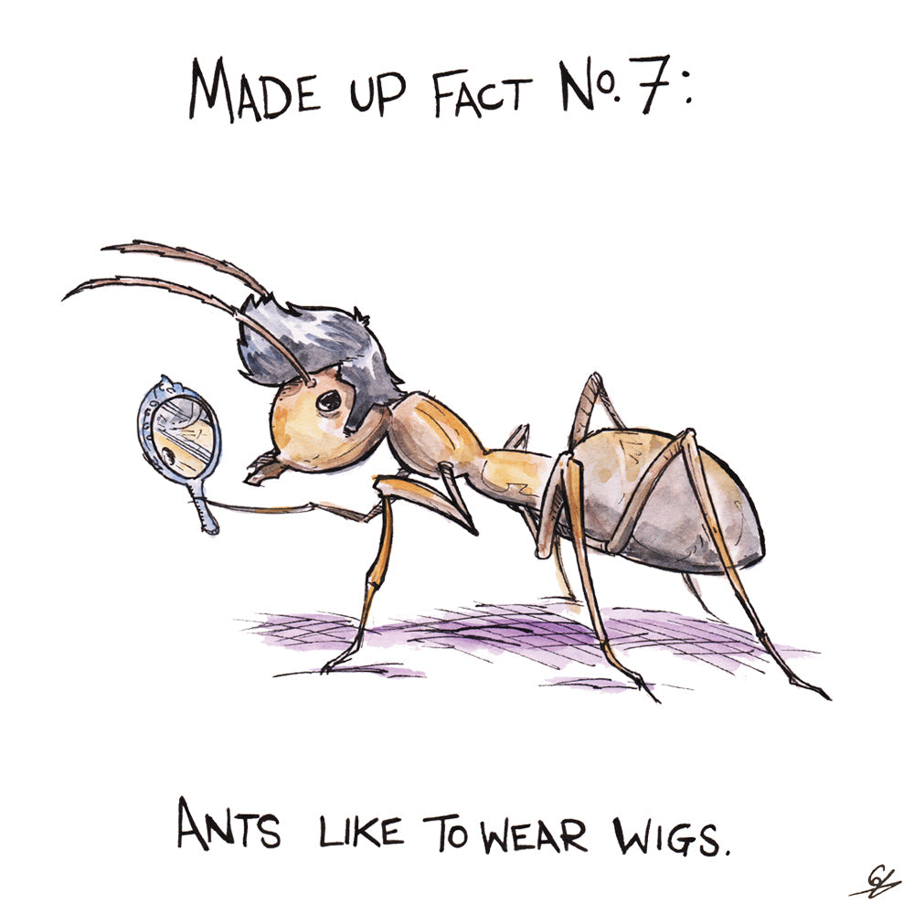 Made Up Fact No.7: Ants like to wear wigs.