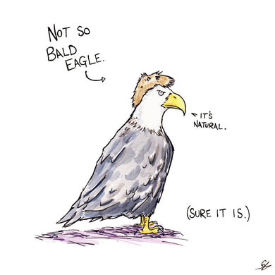 Not So Bald Eagle (Bald Eagle wearing a wig) 