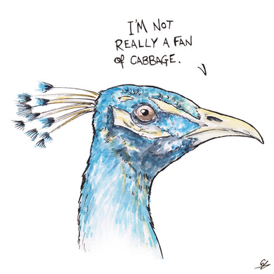 A Peacock saying 