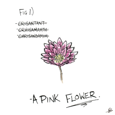 A nice pink flower