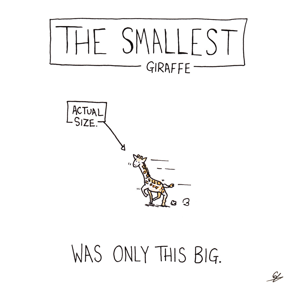 The Smallest Giraffe (Actual Size) was only this big.