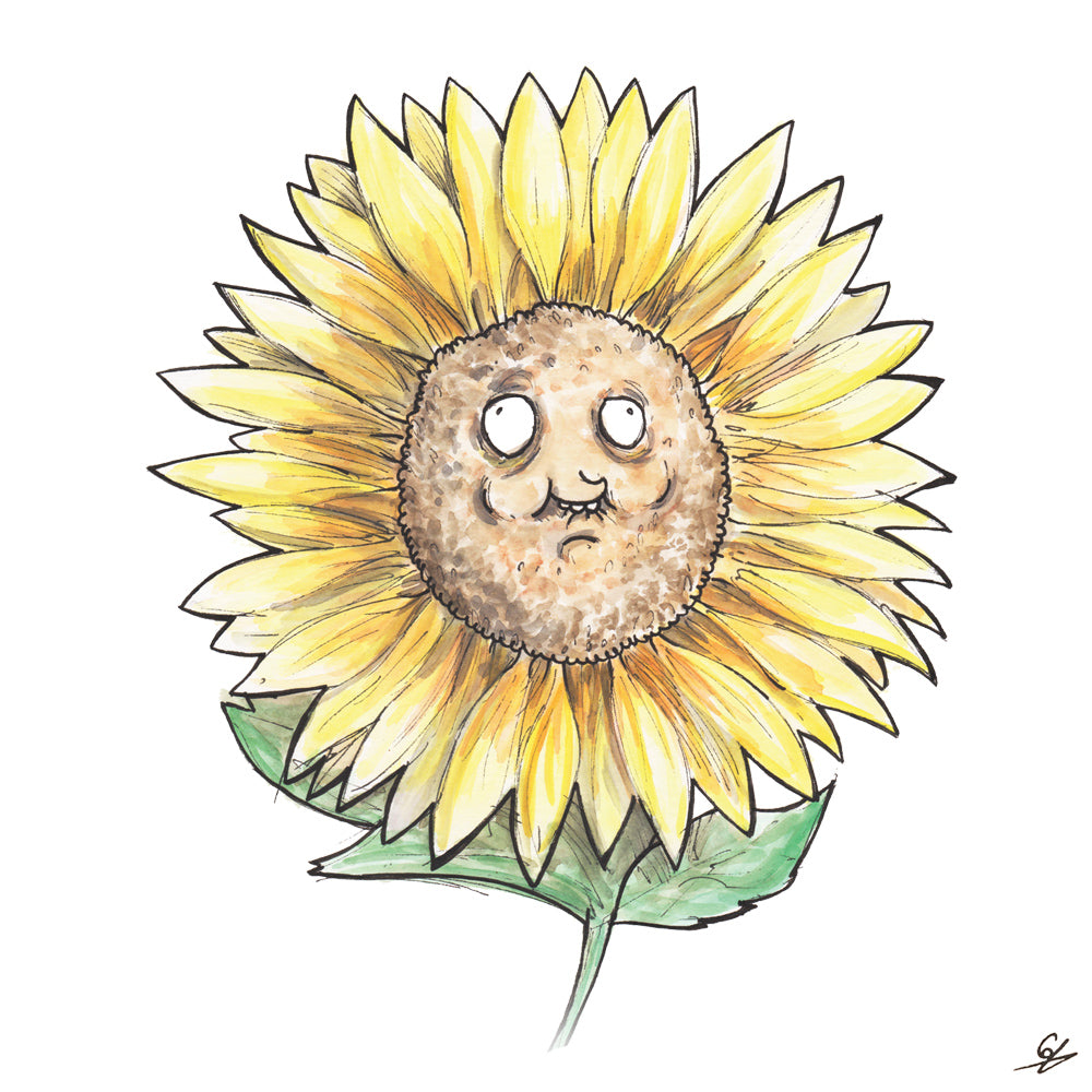 A derpy Sunflower