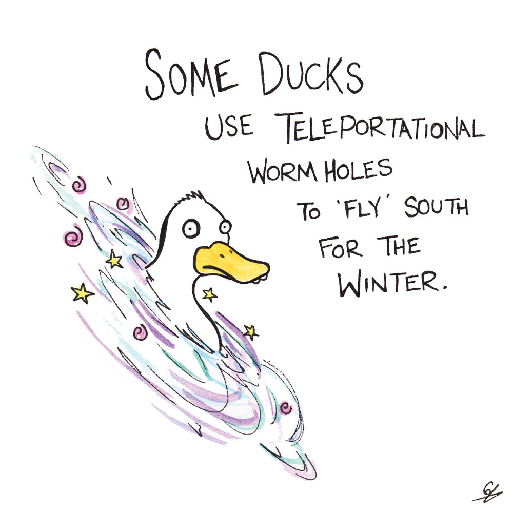 Ducks using Teleportational Wormholes