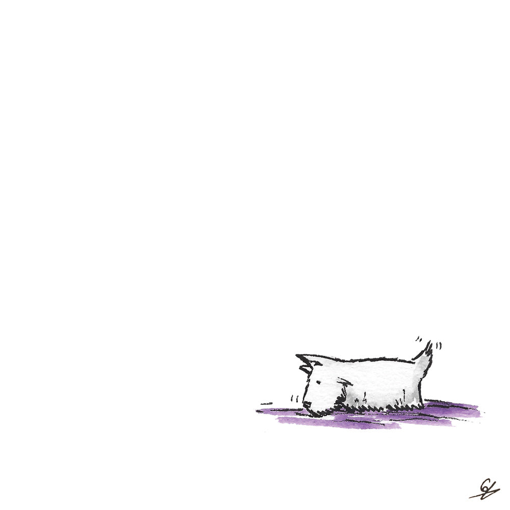 A sniffing terrier
