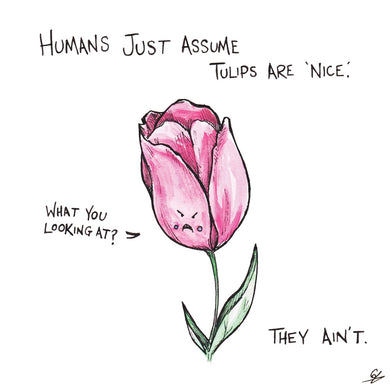 Humans just assume Tulips are 'nice'. 