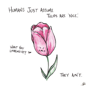 Humans just assume Tulips are 'nice'. "What you looking at?" They ain't.
