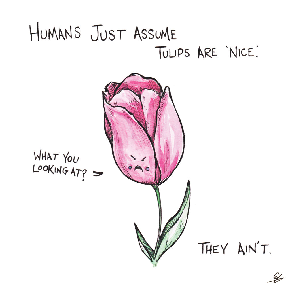 Humans just assume Tulips are 'nice'. 