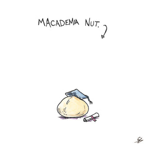 Macademia Nut.