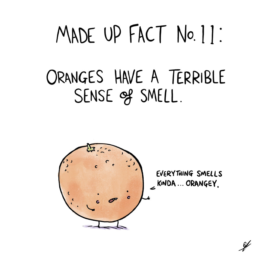 Made Up Fact No. 11:  Oranges have a terrible sense of smell.  A cartoon image of an Orange Fruit saying 