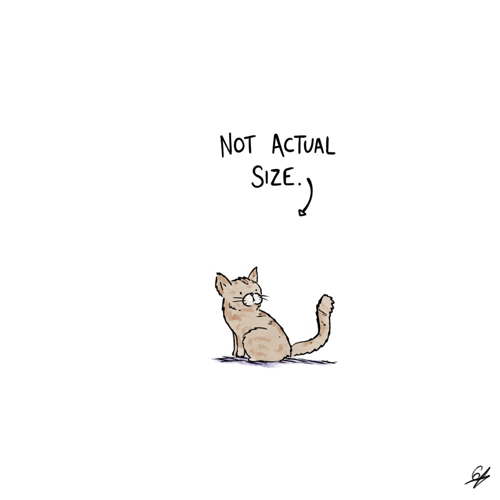 A tiny Cat with the words 'Not Actual Size' written above.