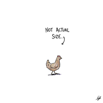 A tiny Chicken with the words 'Not Actual Size' written above.