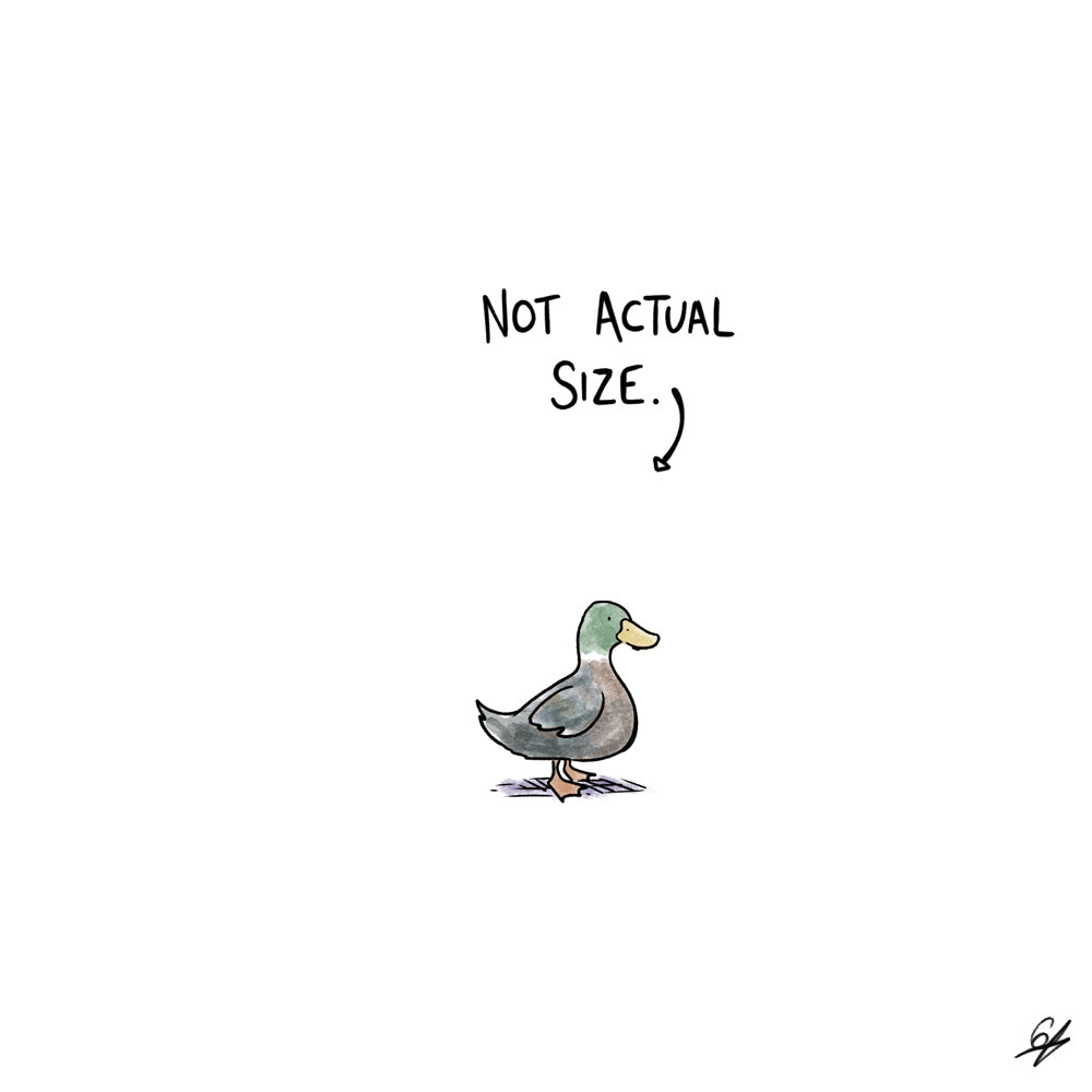 A tiny Duck with the words 'Not Actual Size' written above.