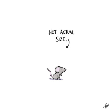 A tiny Mouse with the words 'Not Actual Size' written above.