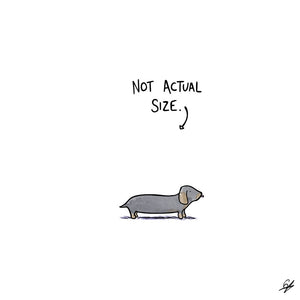 A tiny Sausage Dog with the words 'Not Actual Size' written above.