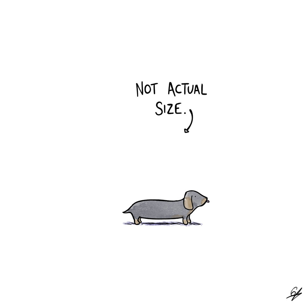 A tiny Sausage Dog with the words 'Not Actual Size' written above.