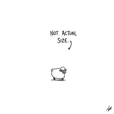A tiny Sheep with the words 'Not Actual Size' written above it.
