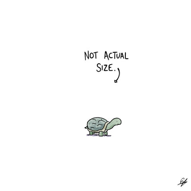 A tiny Tortoise with the words 'Not Actual Size' written above.