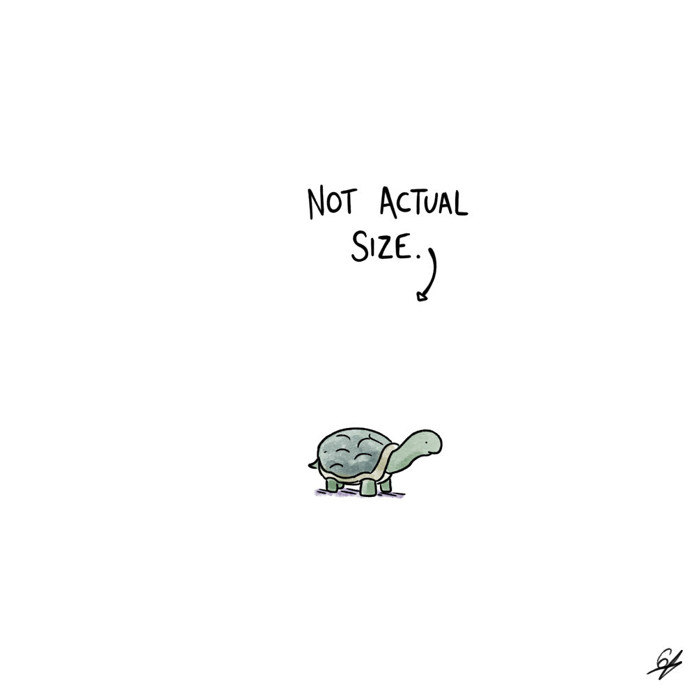 A tiny Tortoise with the words 'Not Actual Size' written above.