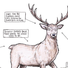Load image into Gallery viewer, A (Probably Made Up) Guide To The Stag - A3 Print