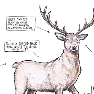 A (Probably Made Up) Guide To The Stag - A3 Print