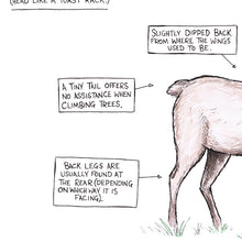 Load image into Gallery viewer, A (Probably Made Up) Guide To The Stag - A3 Print