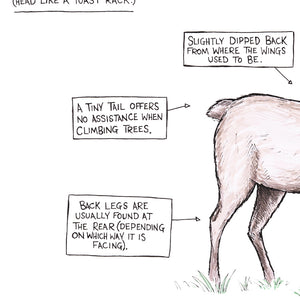 A (Probably Made Up) Guide To The Stag - A3 Print